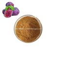 /msite/products/detail/productid/58641280/id/684075.html